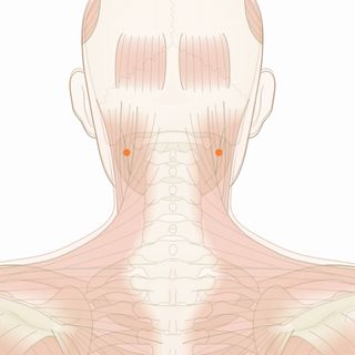 風池
